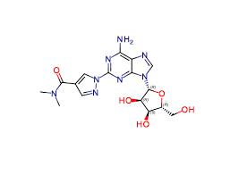 Regadenoson Impurity 2